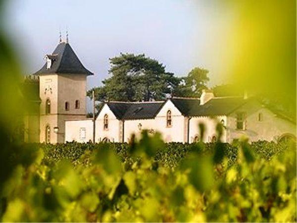 Domaine De La Soucherie - Chambres D'Hotes Beaulieu-sur-Layon Eksteriør bilde