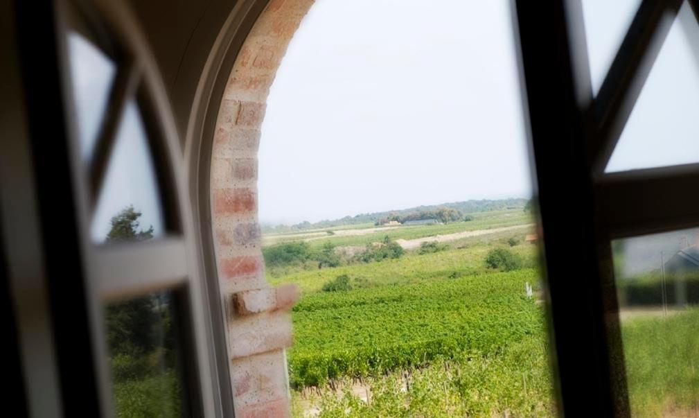 Domaine De La Soucherie - Chambres D'Hotes Beaulieu-sur-Layon Eksteriør bilde