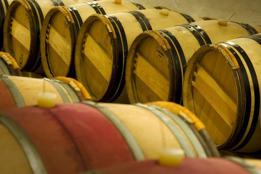 Domaine De La Soucherie - Chambres D'Hotes Beaulieu-sur-Layon Eksteriør bilde