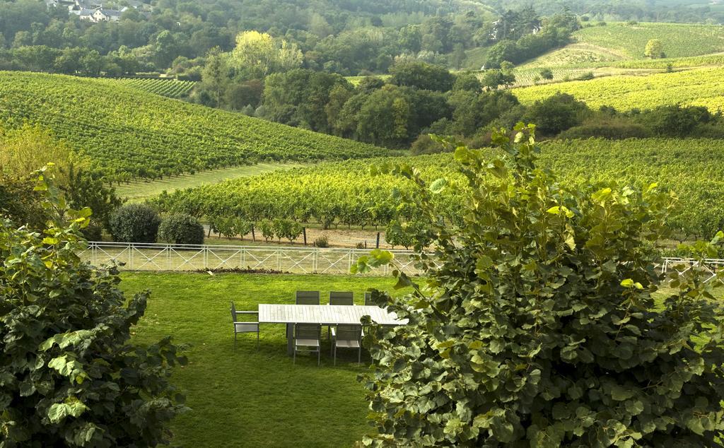 Domaine De La Soucherie - Chambres D'Hotes Beaulieu-sur-Layon Eksteriør bilde