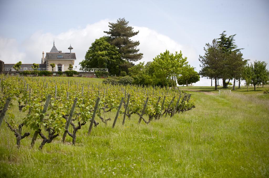 Domaine De La Soucherie - Chambres D'Hotes Beaulieu-sur-Layon Eksteriør bilde