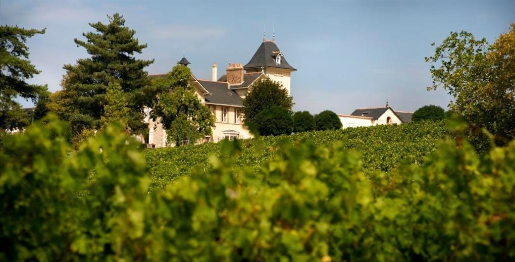 Domaine De La Soucherie - Chambres D'Hotes Beaulieu-sur-Layon Eksteriør bilde
